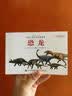 中国娃娃快乐幼儿园水墨绘本心理篇1：像动物那样勇敢 我敢唱歌了 谁生蛋宝宝 小蜥蜴是朋友 猫头鹰夜晚(套装共5册) 实拍图