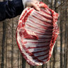 密农人家 羊排 国产羔羊肉 精羊排骨 味道鲜美 急冻锁鲜 新鲜羊肋排500g 实拍图