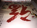 伊人新款5D钻石画福客厅字画水晶砖石秀书房小幅砖石画福字点钻钻石绣 5D升级圆钻 亮钻 ZJ2003 小福 (30x30) 半钻 实拍图