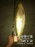 本汀（BenTing）强悍竞技主线组原丝台钓钓鱼线方便渔具用品成品 4.5米（2.0#） 实拍图