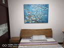 yihuiarts梵高杏花油画手绘客厅装饰画现代简约家装挂画卧室床头画餐厅壁画 盛开的杏花 竖（高）60*横（长）80cm 无框画-可直接悬挂 单幅-横版 实拍图