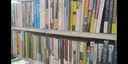 人类要是没有爱情就好了 实拍图