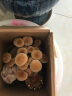 花e流 食用菌棒菌种菌包平菇食用蘑菇农产品蘑菇菌种植多肉植物阳台 茶树菇袋装 实拍图