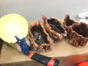 花目蓝（HUAMULAN） 陶瓷花盆 陶泥多肉植物绿植花器 创意桌面仿老根根雕生态树桩陶 款式1/长19.5*宽10*高8.3厘米 实拍图