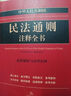 中华人民共和国民法通则注释全书：配套解析与应用实例 实拍图