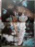 愿你优雅淡定，无需取悦这世界(附心情卡片) 实拍图