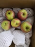 旷古农业云南昭通丑苹果 冰糖心苹果新鲜水果当季现摘整箱脆甜 9斤 约22-24个 实拍图