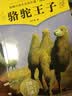 动物小说大王沈石溪品藏书系：骆驼王子 实拍图
