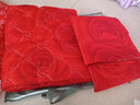 禧愿床裙四件套水晶绒法兰绒牛奶绒床盖夹棉床上魔法绒四件套 床裙床品套件 非全棉纯棉婚庆套件床罩套件 倾城浪漫-金驼 1.5米床 床裙三件套 实拍图