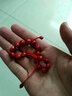 灵菲玲珑骰子安红豆本命年红绳手链入骨相思豆筛子情侣手串男女情侣 实拍图