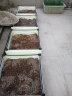 易栽乐（Yizail） 2.5S种植箱阳台种菜种花花盆学校绿化园艺用品屋顶阳台菜园 单格种植箱 40*40*26cm 实拍图