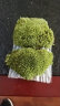 孙凯（SUNKAI）鲜活苔藓青苔藓 微景观植物盆景生态瓶diy绿植水陆缸假山盆栽盆景 白发藓15x8cm 2盒 实拍图