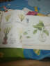 植物绘2：38种可爱盆栽的色铅笔图绘 实拍图