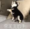 普通心理学（第5版）+考点精讲·习题详解·考研真题（第5版 套装共2册） 实拍图