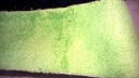 月之吻 高毛金丝绒地毯 客厅茶几沙发卧室地毯 可水洗 多尺寸可选可定制 果绿色 80*200CM 实拍图
