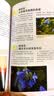 日系清新摄影：拍出最美风景与花卉 实拍图