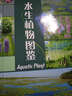 水生植物图鉴 实拍图