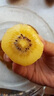 帆儿庄园西峡猕猴桃黄心猕猴桃奇异果金桃弥泥猴桃新鲜水果生鲜大果 【甜度升级】中大果 24枚80-100g 实拍图