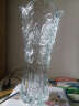 bingyi透明大号富贵竹玻璃花瓶 欧式水晶品质花瓶摆件工艺花插 35龙珠 晒单实拍图