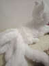 绒翼九尾狐公仔毛绒玩具卡通狐狸娃娃玩偶生日礼物 白色 坐高26厘米全长56厘米 晒单实拍图