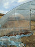 爱悦大棚钢架 温室大棚钢管农用花卉棚热镀锌大棚骨架椭圆管养殖暖棚 压膜绳一卷 标配版含无滴膜 实拍图