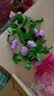 假花藤条阳台空调管 仿真玫瑰花藤拱门塑料花藤蔓绿植物花藤装饰 【玫瑰花藤粉色】 实拍图