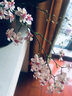 裕轩堂紫砂花盆多肉菖蒲盆景宜兴室内桌面花盆陶瓷创意批发多肉创意个性 紫砂0378 (顺) --黑 小 实拍图