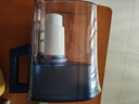 聚蓝（bluetech） HS-527三代净水壶家用自来水过滤水壶家用净水器双芯去水垢细菌直饮标准 直饮尝鲜装【1壶2芯】抹茶色 实拍图