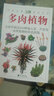 自然珍藏图鉴丛书：多肉植物 实拍图