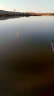 阿卢c08高灵敏度鲫鱼漂鲤鱼漂芦苇浮漂加粗醒目黑坑野钓混养浮标官方 LPC08芦苇本色阴天尾15目 7号（吃铅约2.85g） 实拍图