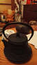 龙颜堂日本南部铁壶小号铸铁壶纯手工铁壶急须壶煮水茶壶黑点泡茶壶 富士山 黑色款 实拍图
