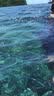 CRESSI潜水面镜浮潜水肺深潜面罩潜水呼吸管装备ranger潜水镜近视 【经典款】黄色-平光 实拍图