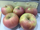 汇尔康大沙河红富士苹果5斤装当季新鲜水果丑苹果徐州特产生鲜 实拍图