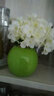 爱泽宝 仿真花假花塑料花干花陶瓷花瓶客厅餐桌摆件装饰花 书架隔板仿真花艺 工艺品多色可选 绿花瓶+水蓝绣球 实拍图