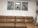 艺米 客厅装饰画现代简约壁画沙发背景墙画挂画欧式餐厅麋鹿孔雀有框三联画 鸾凤和鸣-香槟银框（复式装裱+高透有机玻璃） 63*80大气套装(适合3.5-4.5m沙发墙) 实拍图