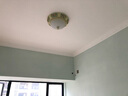 韬齐 欧式吸顶灯客厅现代简约主卧室灯美式阳台灯具 18160D-中号 直径38CM 配单色LED灯泡 实拍图