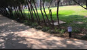 裕见不锈钢草坪灯 户外中式草地灯led园林景观灯庭院灯花园别墅灯路灯 大号压铸铝-黑色-市电款 实拍图