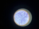 萨伽（SAGA）学生生物电子显微镜xsp-002高倍高清专业科普接电脑水产养殖看精 套餐1=002官方标配(高达1600X) 实拍图