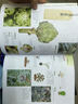 城市农夫种菜手帖（套装共3册） 实拍图