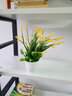 礼赫家饰蝴蝶兰仿真花假花摆设客厅餐桌花摆花绿植小盆栽室内外摆件装饰品 塑料黄色百合花+仿瓷花瓶 实拍图