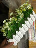 浩瀚摆件仿真花跳兰菊整体花艺 婚庆家居餐厅装饰小翠花白栅栏套装 白栅栏30cm+夕阳红 实拍图