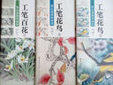 新编养心斋描摹画谱`工笔花鸟2 实拍图
