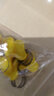 索夫（Suo Fu） 不锈钢抱箍喉箍卡子卡扣接头洗车水管橡胶管煤气管固定 10-16mm管箍（10个装） 实拍图