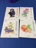 色铅笔温情手绘(套装全4册 共80种案例 赠高清教学视频）包含动物绘、花草多肉绘、蔬果绘、甜点绘 实拍图