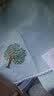 虹原风尚 雪尼尔沙发垫子2026新款四季通用坐垫防滑沙发罩皮沙发轻奢定制 映蝶-卡其色【柔软雪尼尔】 宽90*长180cm一张 实拍图