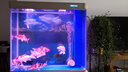 鱼乐美CT系列声音轻鱼缸氧气泵增氧泵水族箱养鱼加氧泵鱼缸充氧机充气 CT-202(4米管+2沙头+2止水阀) 实拍图