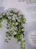 日本花艺名师的人气学堂：新娘手捧花制作技法 实拍图
