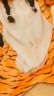 克沃兹儿童连体睡衣男女童秋冬恐龙睡衣卡通保暖动物可爱法兰绒家居服 黄老虎 100cm(95-105cm，送鞋) 晒单实拍图
