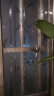菲客带胶磨砂玻璃纸窗户贴纸玻璃贴膜浴室宿舍自贴窗花纸移门防晒加厚 带胶富贵竹（新中式） 45厘米宽X2米长（加厚款） 实拍图