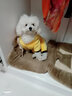阿莫尔宠物小狗狗衣服秋冬装加绒加厚保暖泰迪比熊小型犬四脚衣猫咪衣服 立耳兔浅绿（四脚） L-建议7-9斤内 实拍图